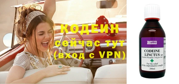 молекула духа Богородск