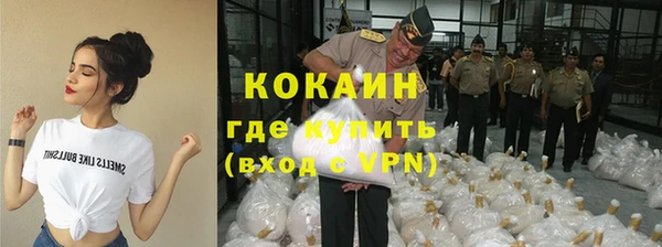 крисы Белокуриха