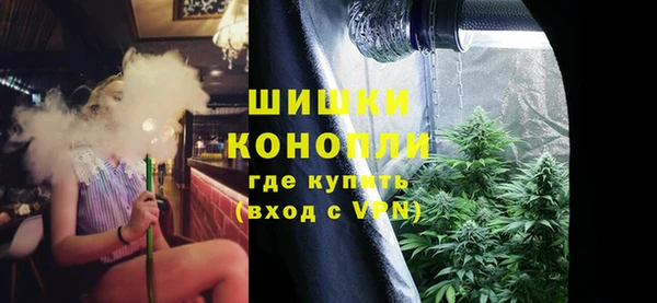 молекула духа Богородск