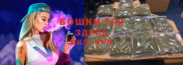 молекула духа Богородск