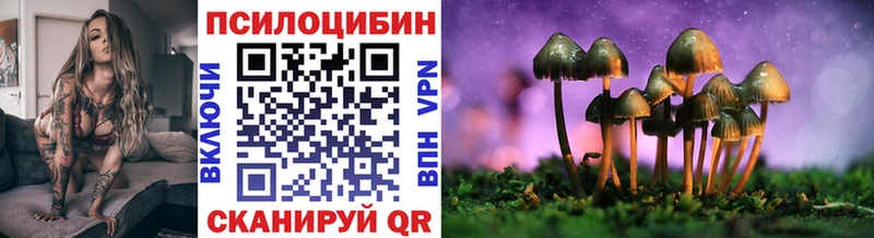 Псилоцибиновые грибы Psilocybe  Вязьма 